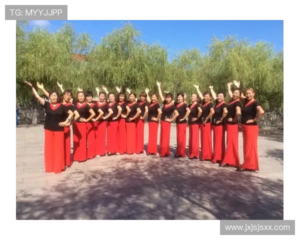 武汉排球队逆袭之路揭秘大师赛特别报道展现奋斗精神与团队力量